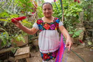 Authentic Mexican Outdoor Undercover Cotton Hammock in Rainbow